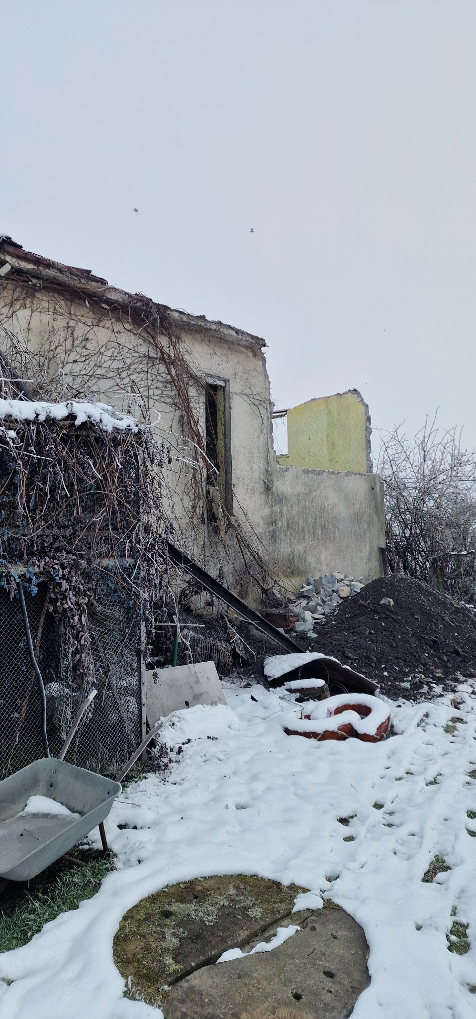 Zrujnowany, częściowo zawalony budynek w zimowej scenerii. Widoczne resztki ścian, gruz, zarośla i śnieg. W tle pochmurne niebo. Na pierwszym planie taczka.