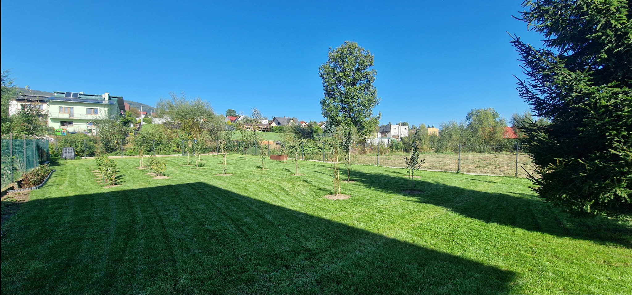 Zadbany trawnik z młodymi drzewkami w Łodygowicach, widok z perspektywy cienia. Regularne pasy po koszeniu, ogrodzenie w tle i zabudowa mieszkalna.