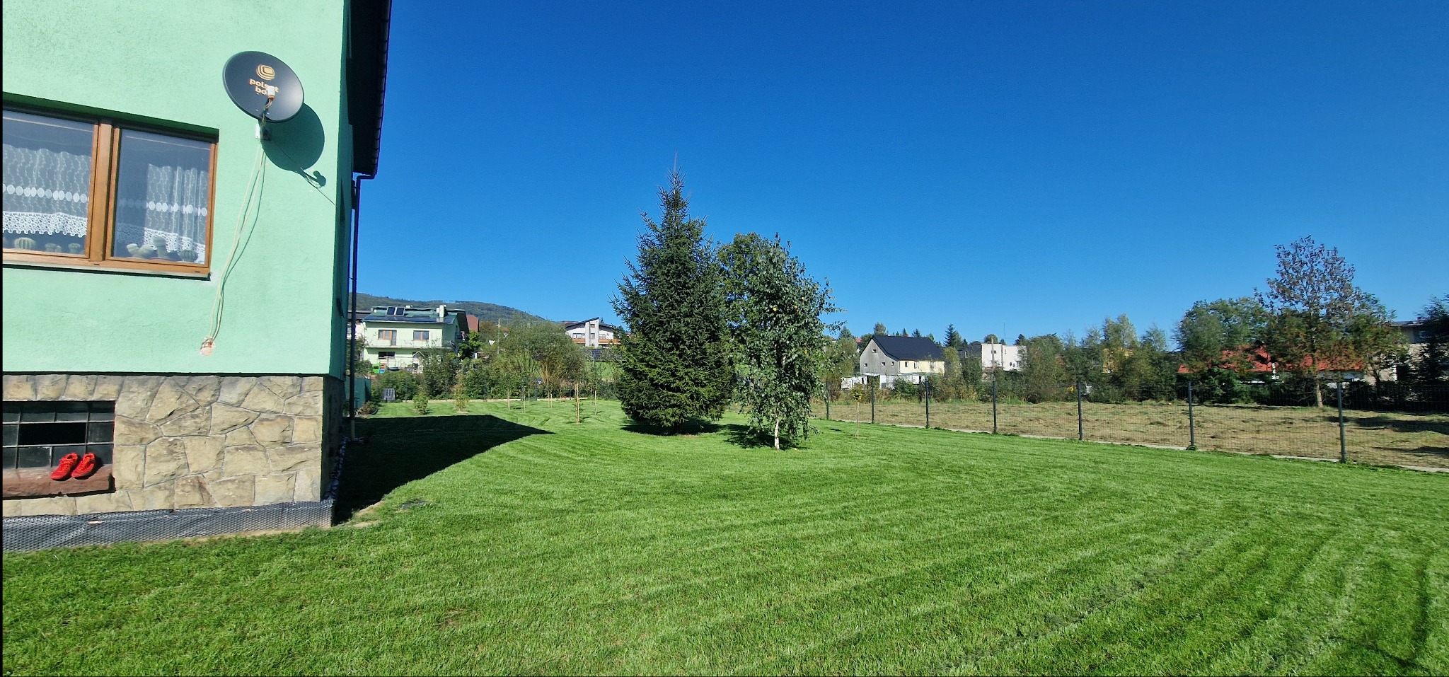 Świeżo skoszony trawnik z widocznymi pasami, drzewa iglaste i liściaste w tle, ogrodzenie siatkowe, fragment domu z anteną satelitarną i czerwonymi butami w piwnicy.