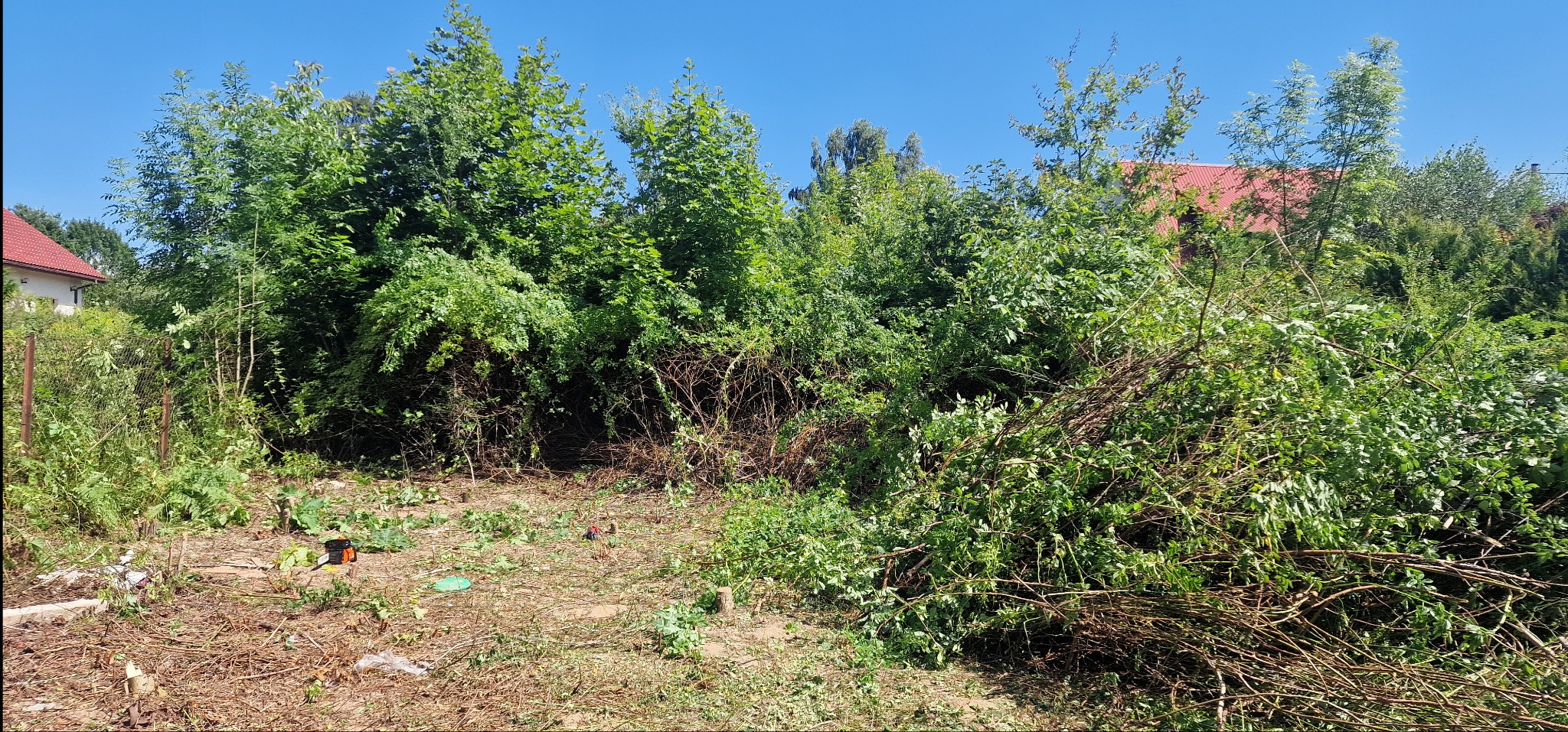 Teren po wycince drzew i krzewów z widocznymi pniami, gałęziami i narzędziami. W tle domy z czerwonymi dachami i błękitne niebo.