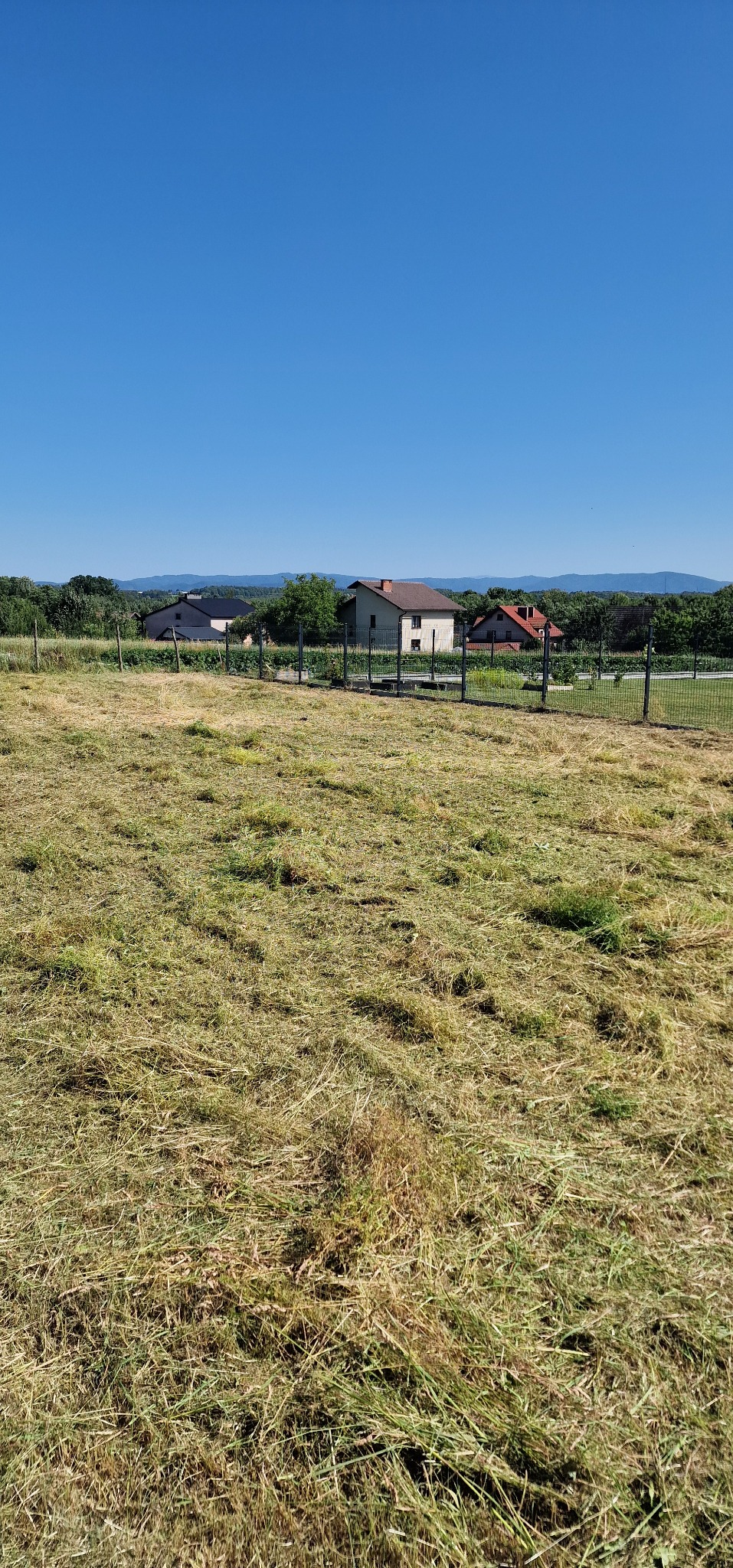 Pole po koszeniu trawy z widokiem na domy i las na horyzoncie pod błękitnym niebem. Świeżo skoszona trawa leży na ziemi.