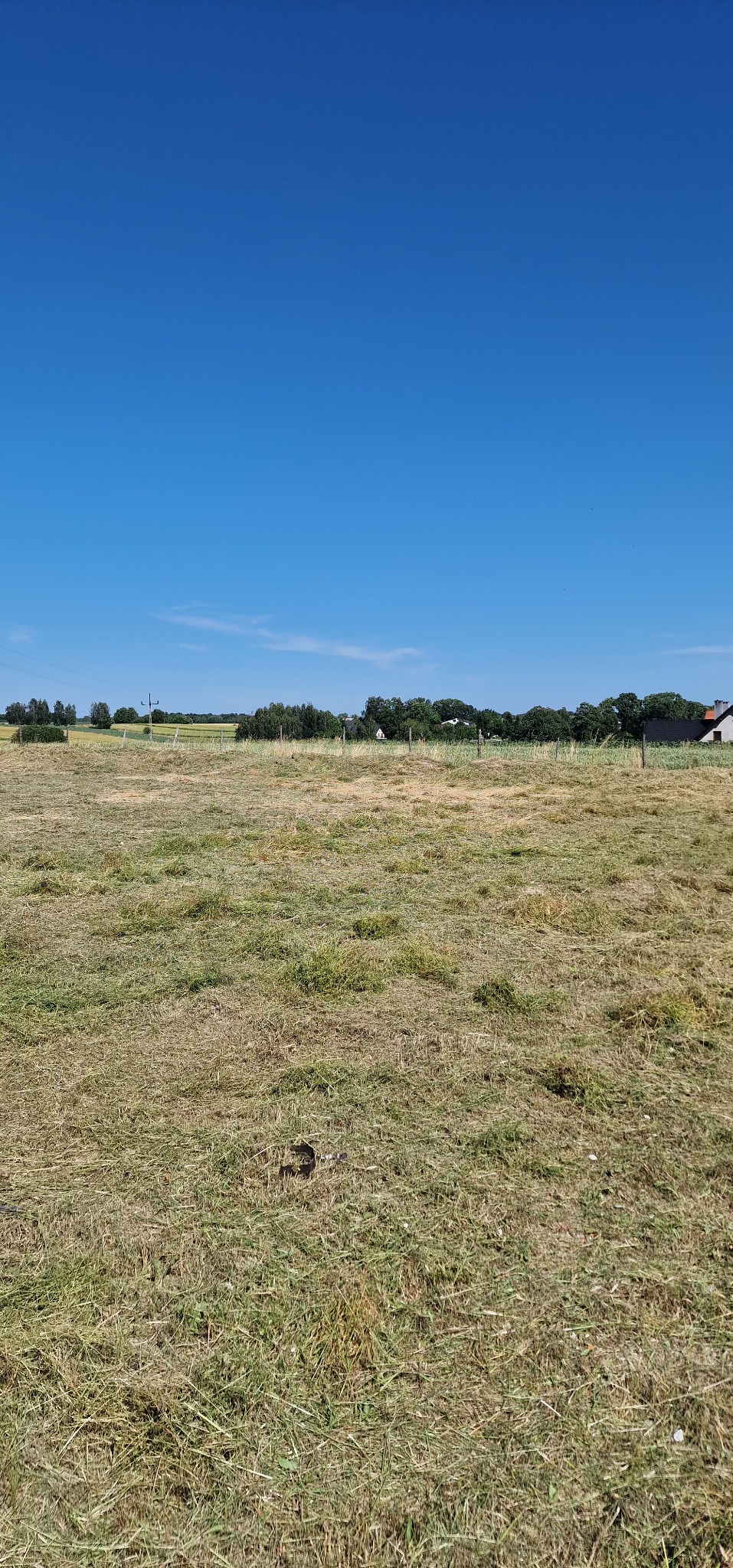 Rozległe pole z suchą trawą pod błękitnym niebem. W oddali widoczne drzewa i budynek. Krajobraz po koszeniu, z pozostałościami ściętej trawy.