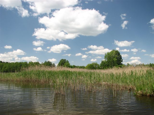 Pustkowie EKO Wakacje