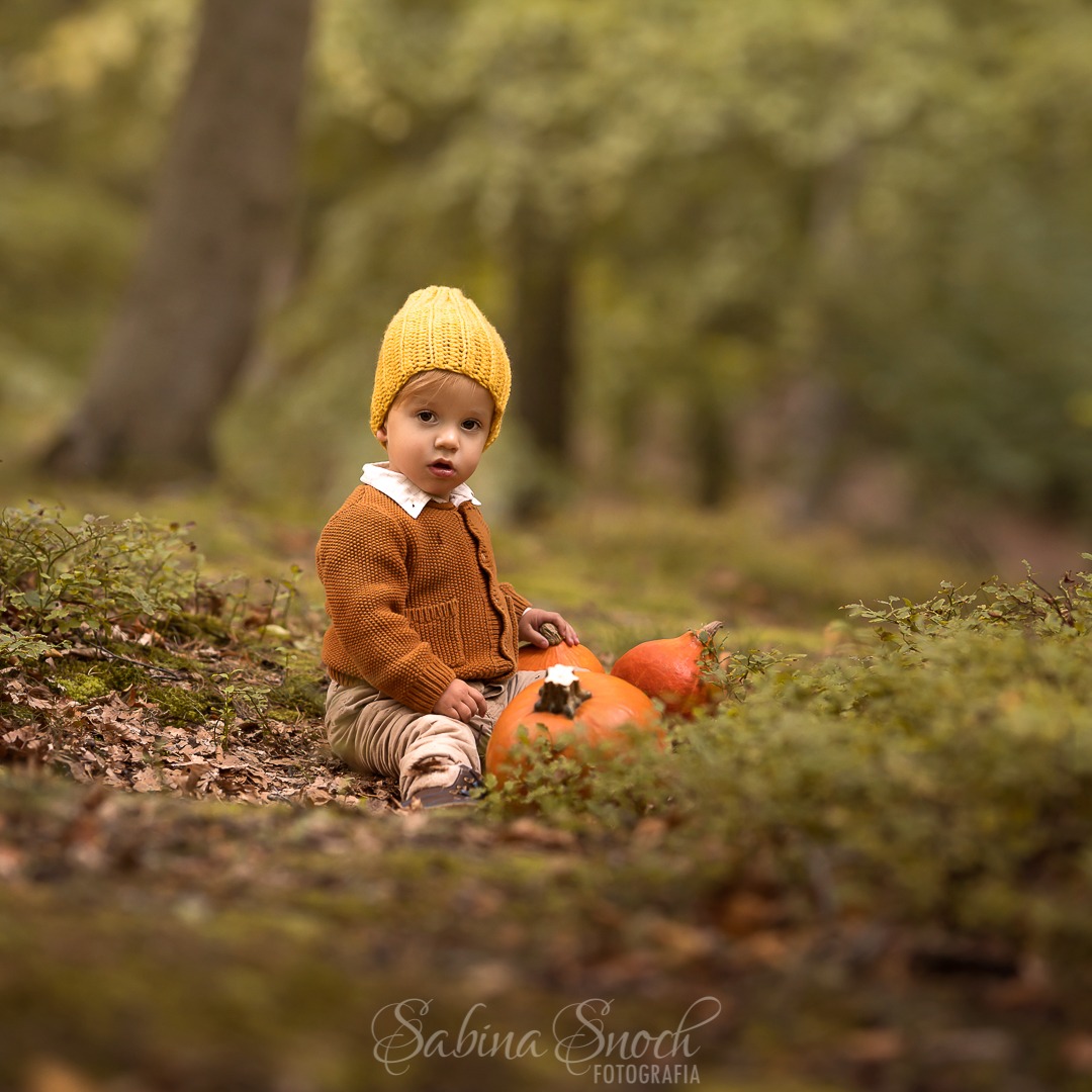 Jesienna sesja: Mały chłopiec w musztardowym swetrze i czapce siedzi w lesie obok dyń, spoglądając w obiektyw. Naturalne światło, miękkie tło leśne.