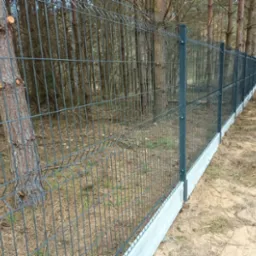 Długie ogrodzenie panelowe z podmurówką betonową, biegnące przez zalesiony teren. Widoczne drzewa i leśne poszycie. Ujęcie z niskiej perspektywy.