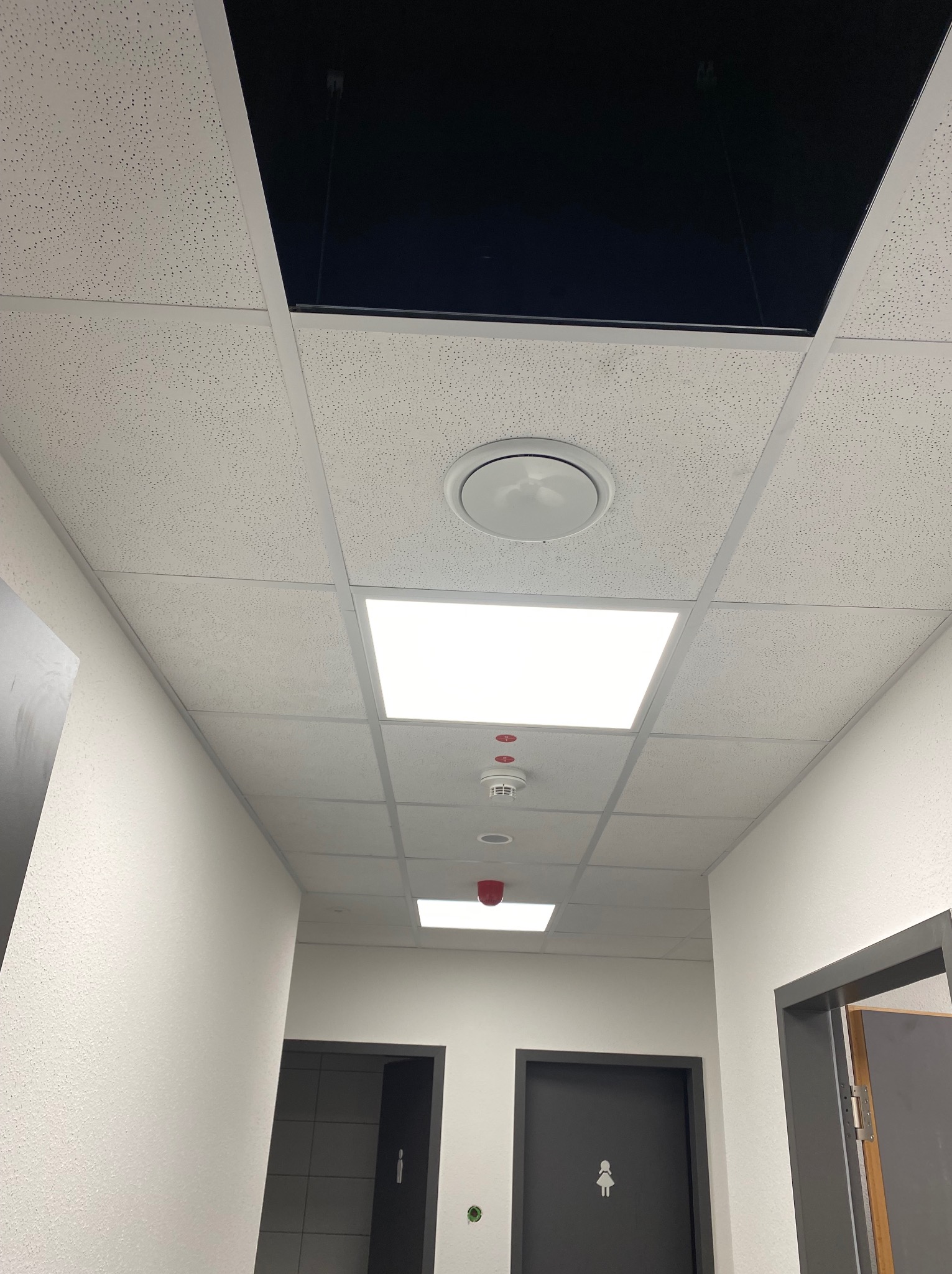 Sufit podwieszany z oświetleniem LED i czujnikiem dymu w nowoczesnym biurze, widok z dołu. Dwa wejścia do pomieszczeń z piktogramami na drzwiach.