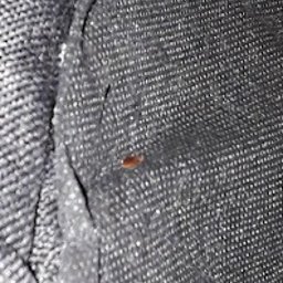 Opróżnianie mieszkań Warszawa 2