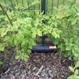 Załączam zdjęcie z realizacji zabezpieczania obiektu przed gryzoniami.