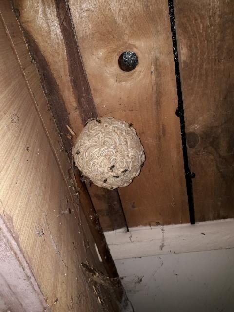 Załączam zdjęcie z realizacji zlecenia – usunięto gniazda OS.