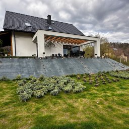 Sekwoja Garden - Nasadzenia roślin