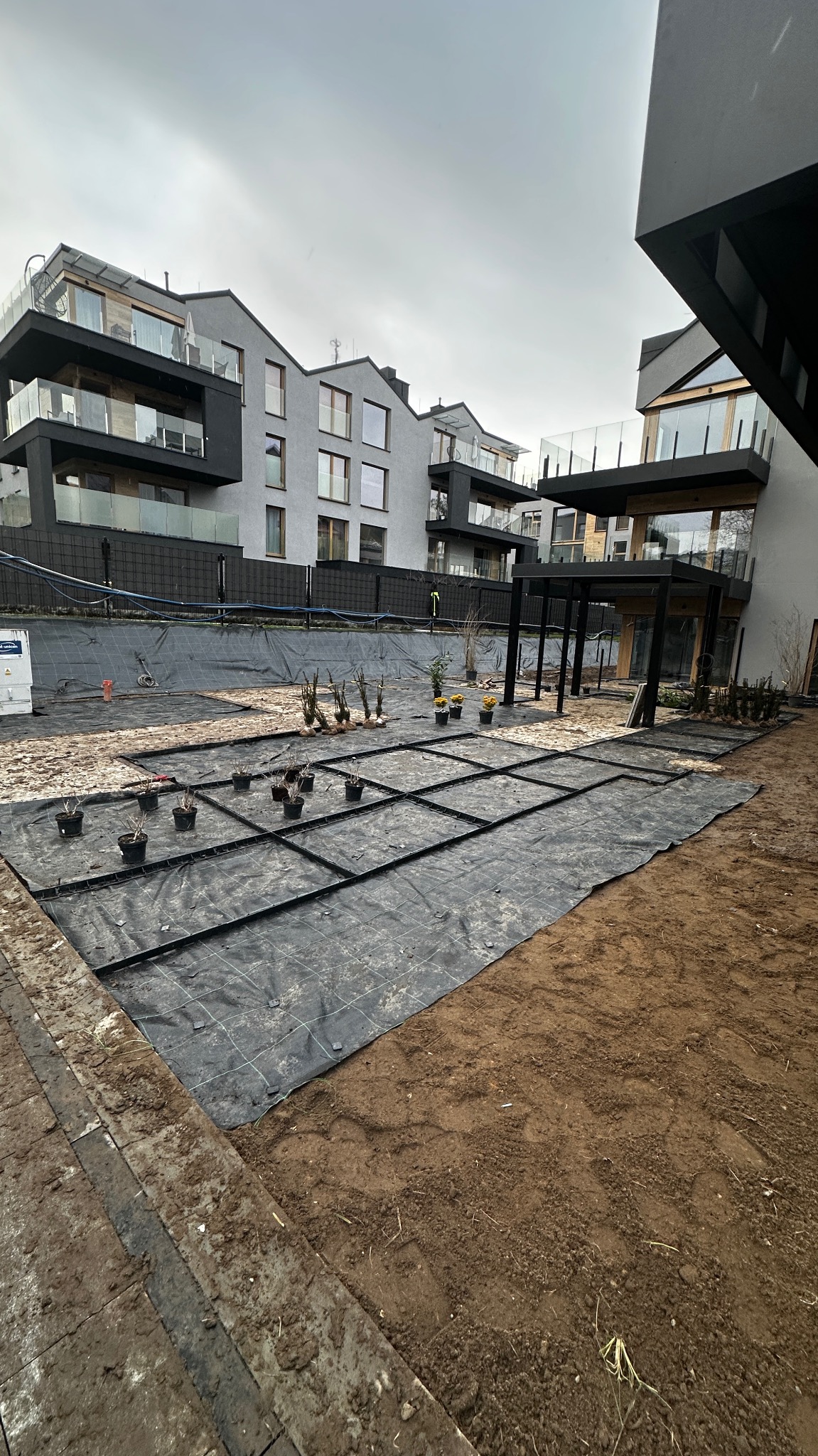Przygotowanie terenu pod ogród: czarna mata, ramki i sadzonki w doniczkach na tle nowoczesnej architektury w pochmurny dzień. Widok na etap prac.