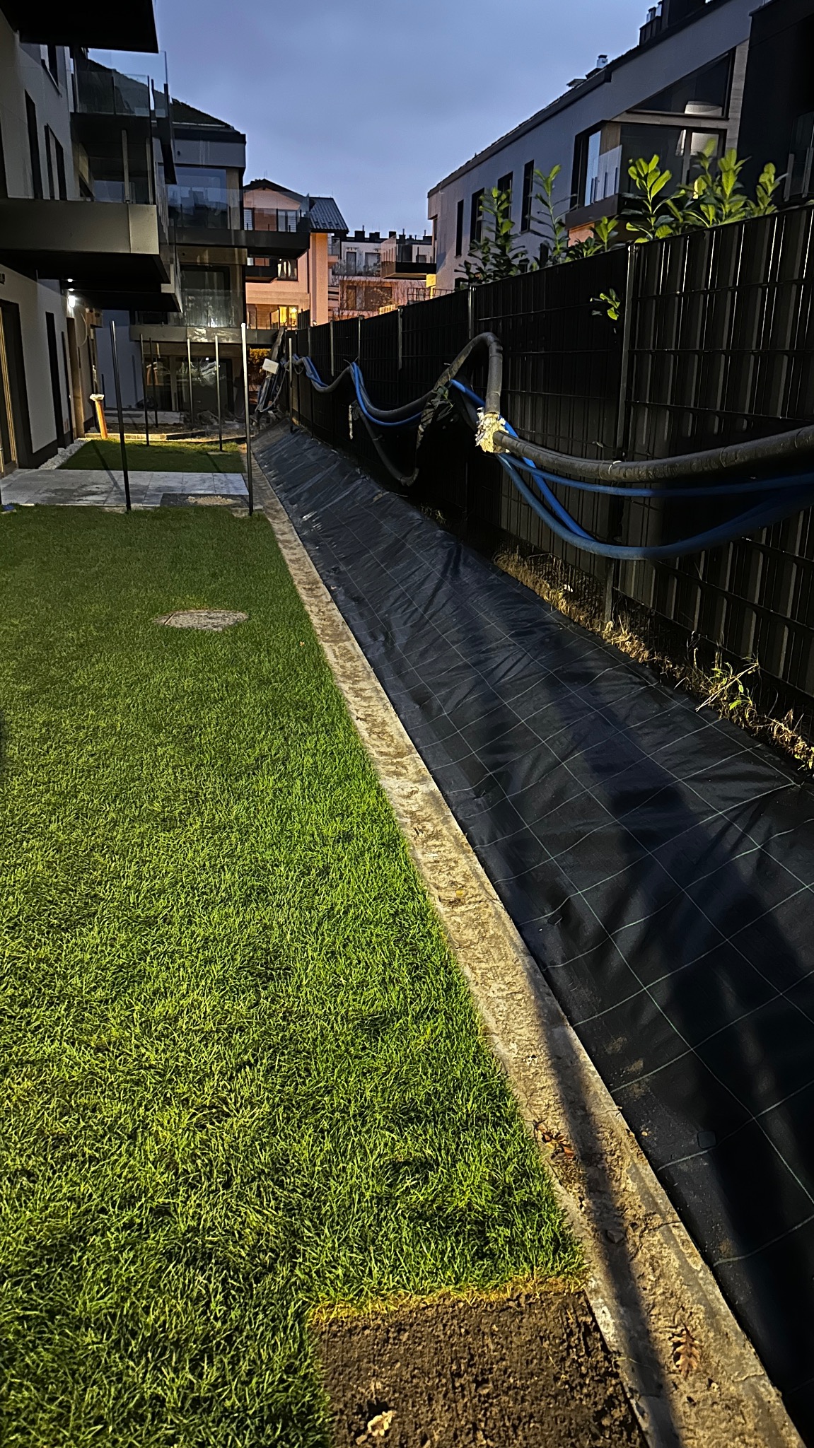 Układanie trawy z rolki w ogrodzie: widoczna świeżo ułożona darń, czarna mata szkółkarska i rury doprowadzające wodę wzdłuż ogrodzenia.