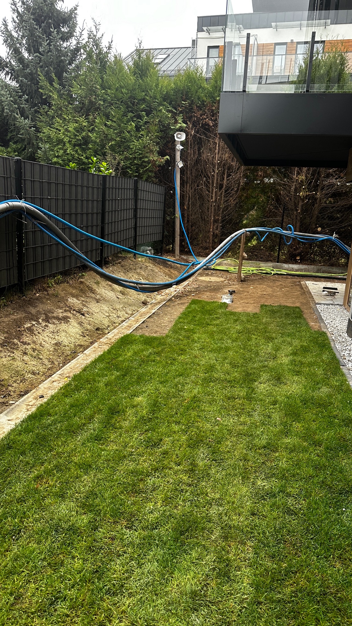 Układanie trawy z rolki w ogrodzie przy nowoczesnym domu. Widoczne nawodnienie i przygotowany teren. Częściowo ułożona darń, czarne ogrodzenie, zielone tuje.
