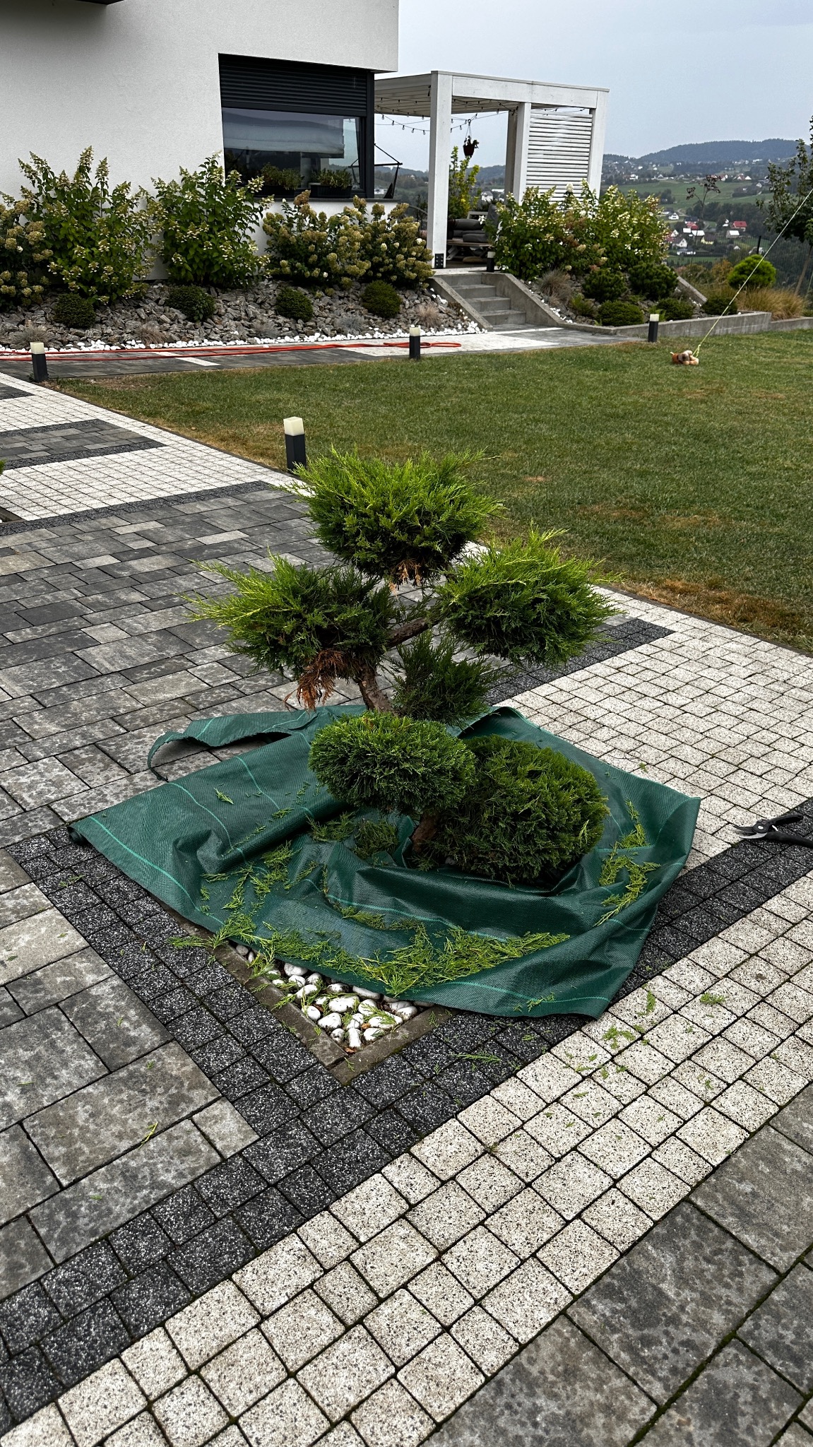 Prace pielęgnacyjne