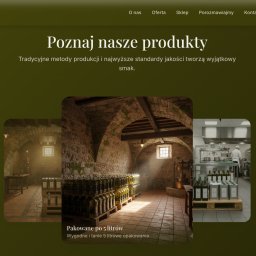 Przykładowa strona naszego klienta