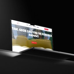 Tworzenie stron internetowych Krynica-Zdrój 1