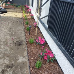 Usługi pielęgnacji ogrodów - Rabata z korą, kwiatami i młodymi drzewkami wzdłuż ogrodzenia. Biały żwir oddziela rabatę od płotu. Widoczny fragment trawnika i osoba w tle.