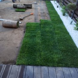 Trawa z rolki Magnuszew 4