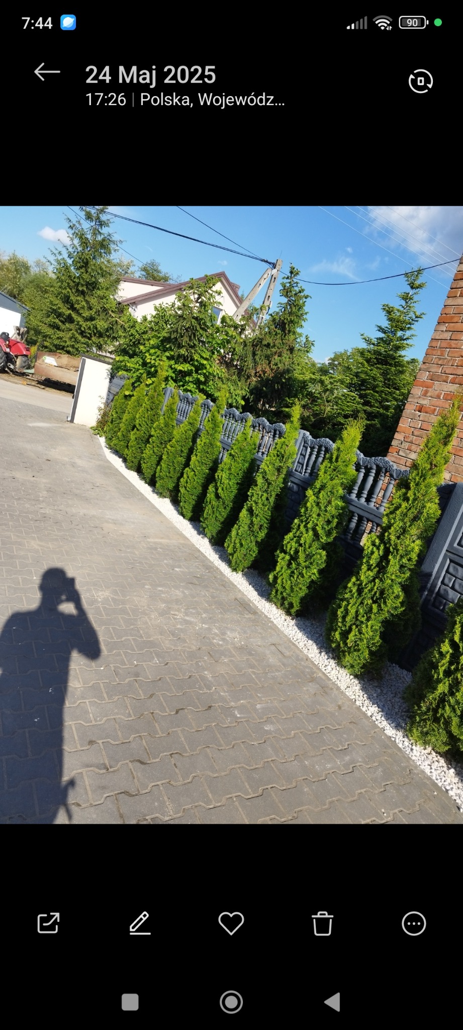 Szpaler tuj posadzony wzdłuż ozdobnego ogrodzenia, oddzielony białym żwirem od chodnika z kostki. W tle dom i zieleń. Cień osoby robiącej zdjęcie.