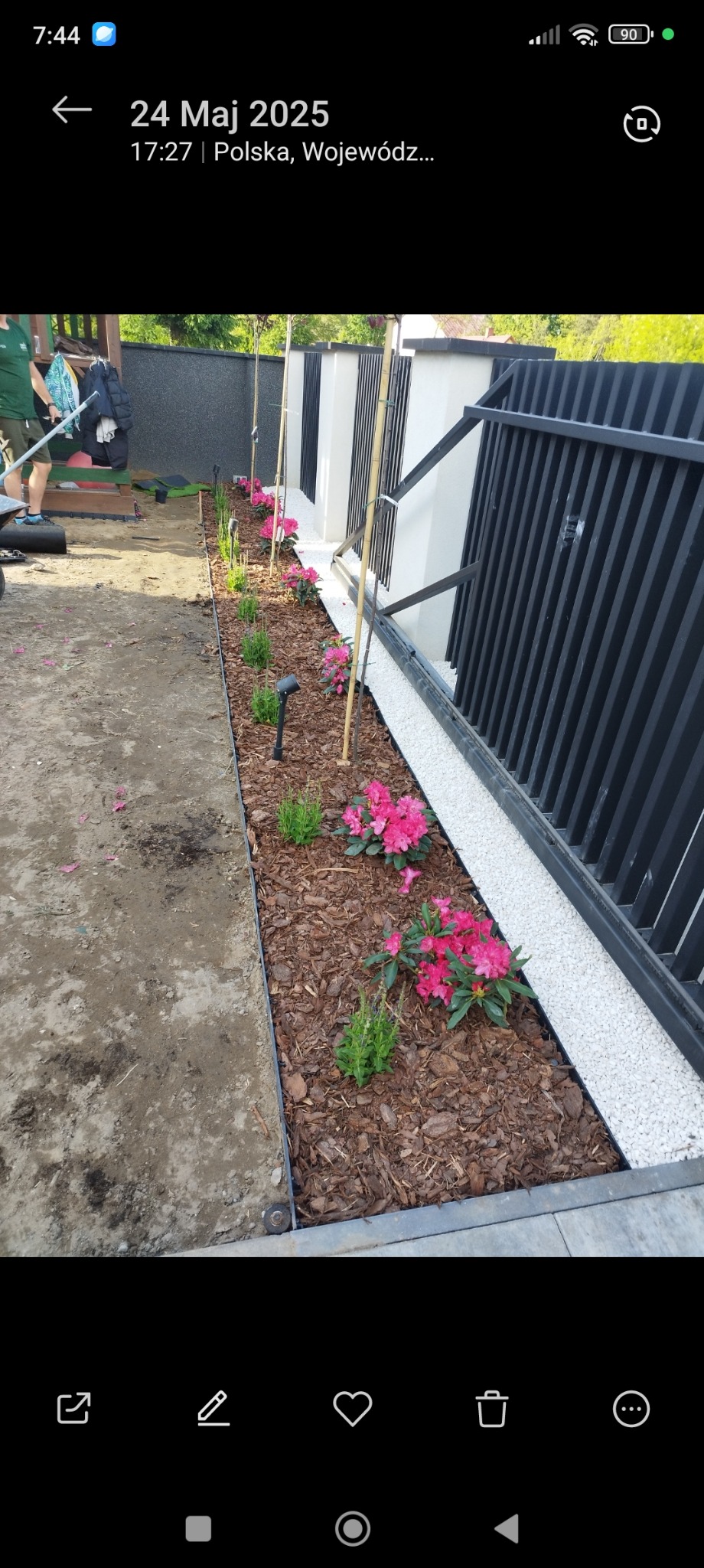 Rabata z korą, kwiatami i młodymi drzewkami wzdłuż ogrodzenia. Biały żwir oddziela rabatę od płotu. Widoczny fragment trawnika i osoba w tle.