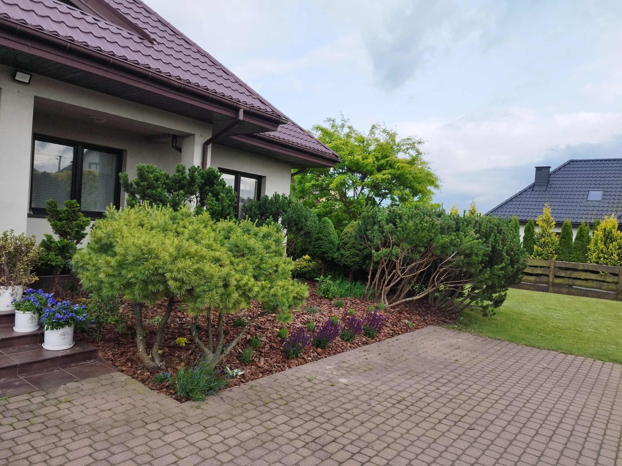 Ogród przydomowy z brukowanym podjazdem, rabatami z korą, ozdobnymi krzewami i kwiatami w donicach przy wejściu do domu z brązowym dachem.