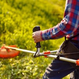 Koszenie trawy Gdynia 3