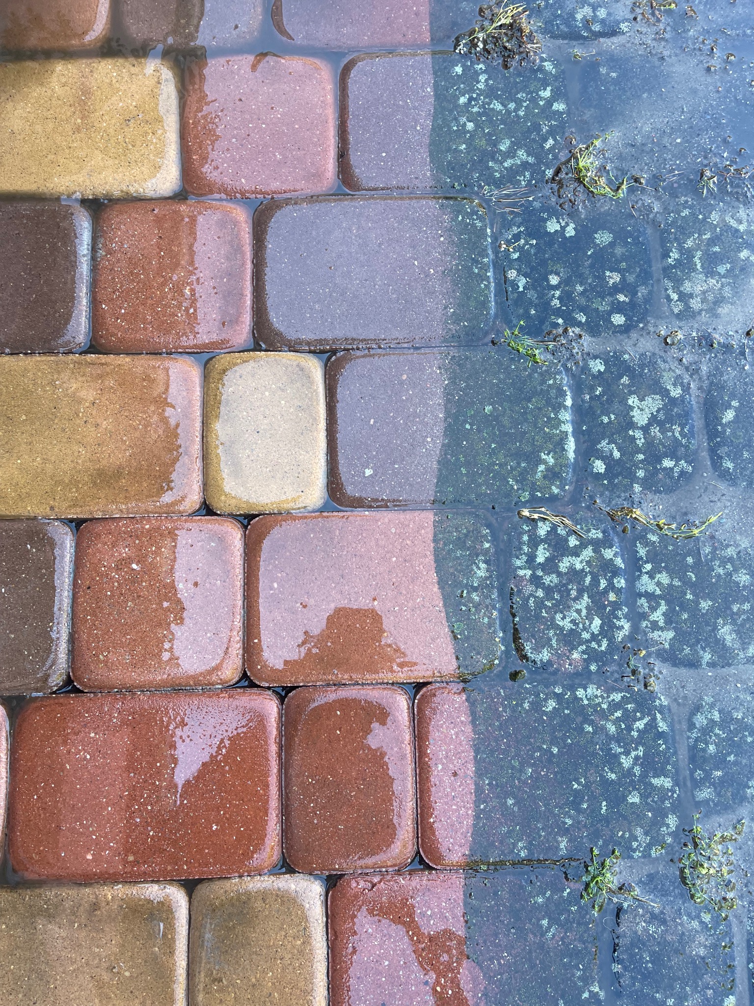 Mokre, kolorowe kostki brukowe, z lewej strony czyste, z prawej porośnięte mchem i brudem. Widoczny efekt mycia ciśnieniowego kostki brukowej.