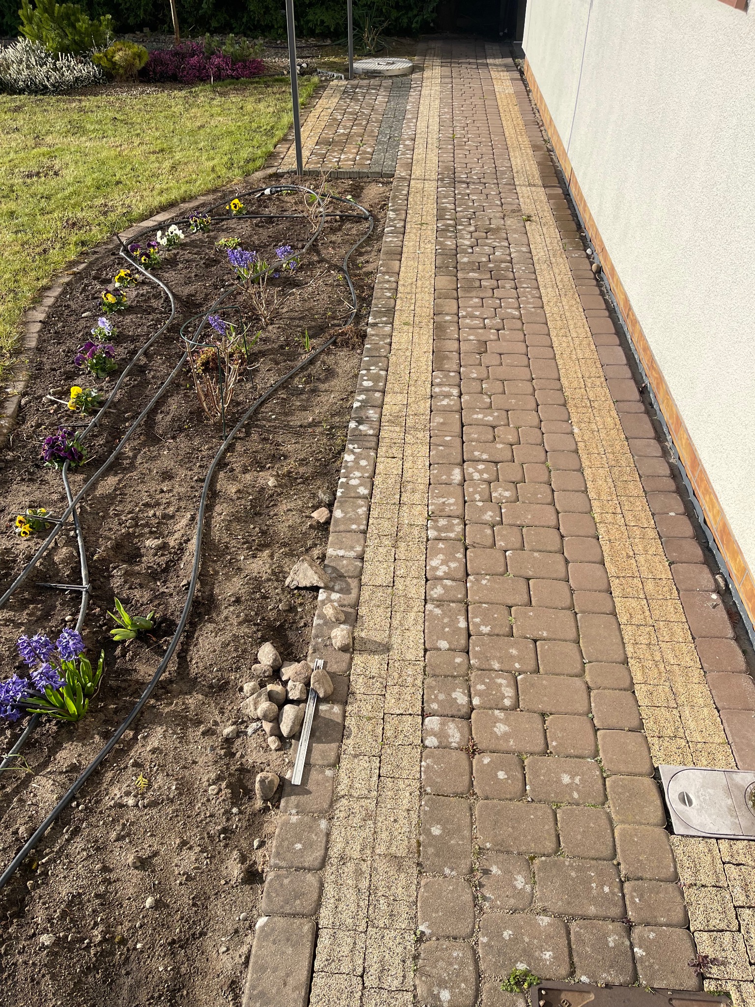 Kaskadowy układ kostki brukowej z żółtymi pasami, obok rabata z kwiatami i systemem nawadniania. Widok z góry na ścieżkę przy budynku.