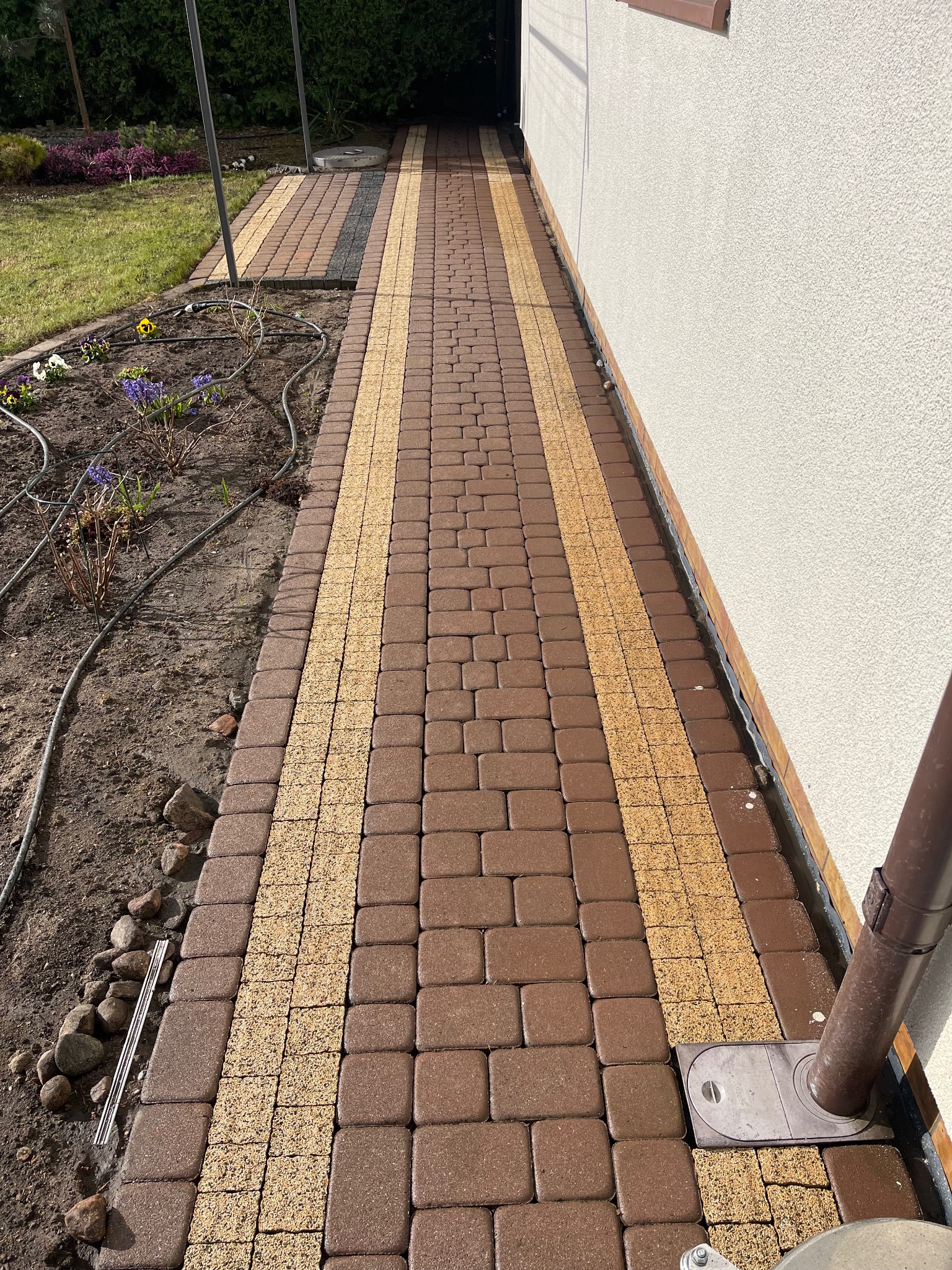 Ułożona, dwukolorowa kostka brukowa (brąz i beż) tworząca ścieżkę wzdłuż białej ściany budynku. Widoczny system nawadniania wzdłuż rabaty kwiatowej.