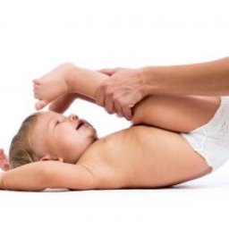 Rehabilitant Elbląg 1