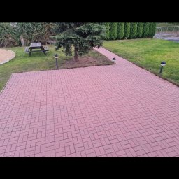 Wycinka drzew Police 2