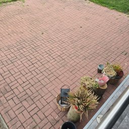 Wycinka drzew Police 1