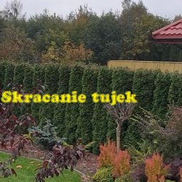 Majster Kazik - Składanie mebli Ł&oacute;dź