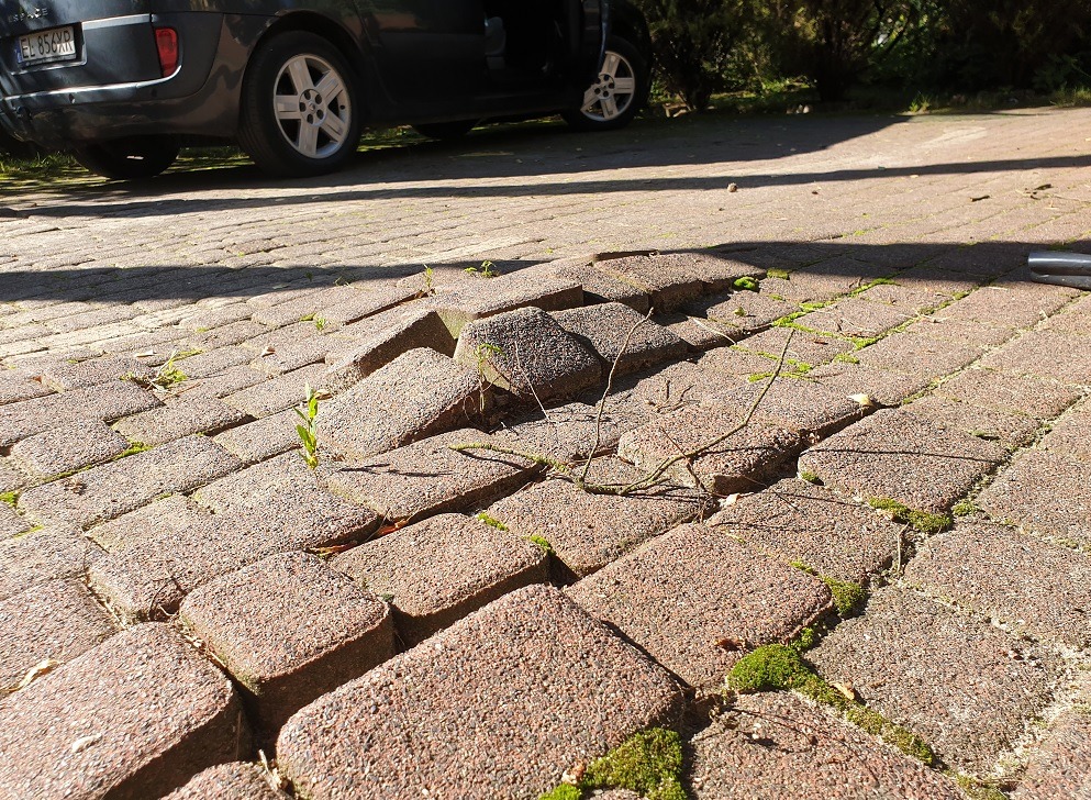 Uszkodzona kostka brukowa na podjeździe z mchem i chwastami, zaparkowany samochód w tle. Widoczne nierówności i przesunięcia kostek.