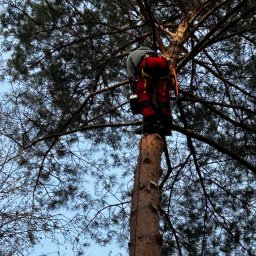 A jak nie ma miejsca na podnośnik to też damy radę 💪