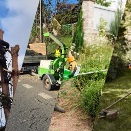 Wycinka drzew Bytom 4