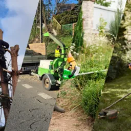 Montaż zdjęć: wycinka drzew z użyciem podnośnika, rozdrabniarka gałęzi przy ciężarówce, koszenie trawy podkaszarką przez ogrodnika w słuchawkach.