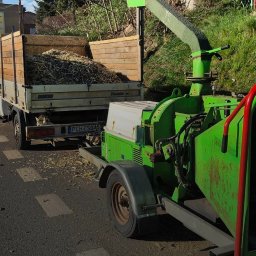 Wycinka drzew Bytom 1