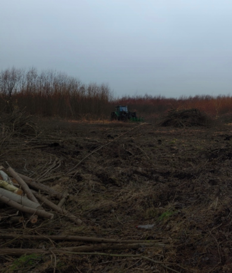 Teren po wycince drzew z traktorem w tle. Na pierwszym planie leżą pocięte pnie drzew, a w oddali widoczny las. Pochmurne niebo.
