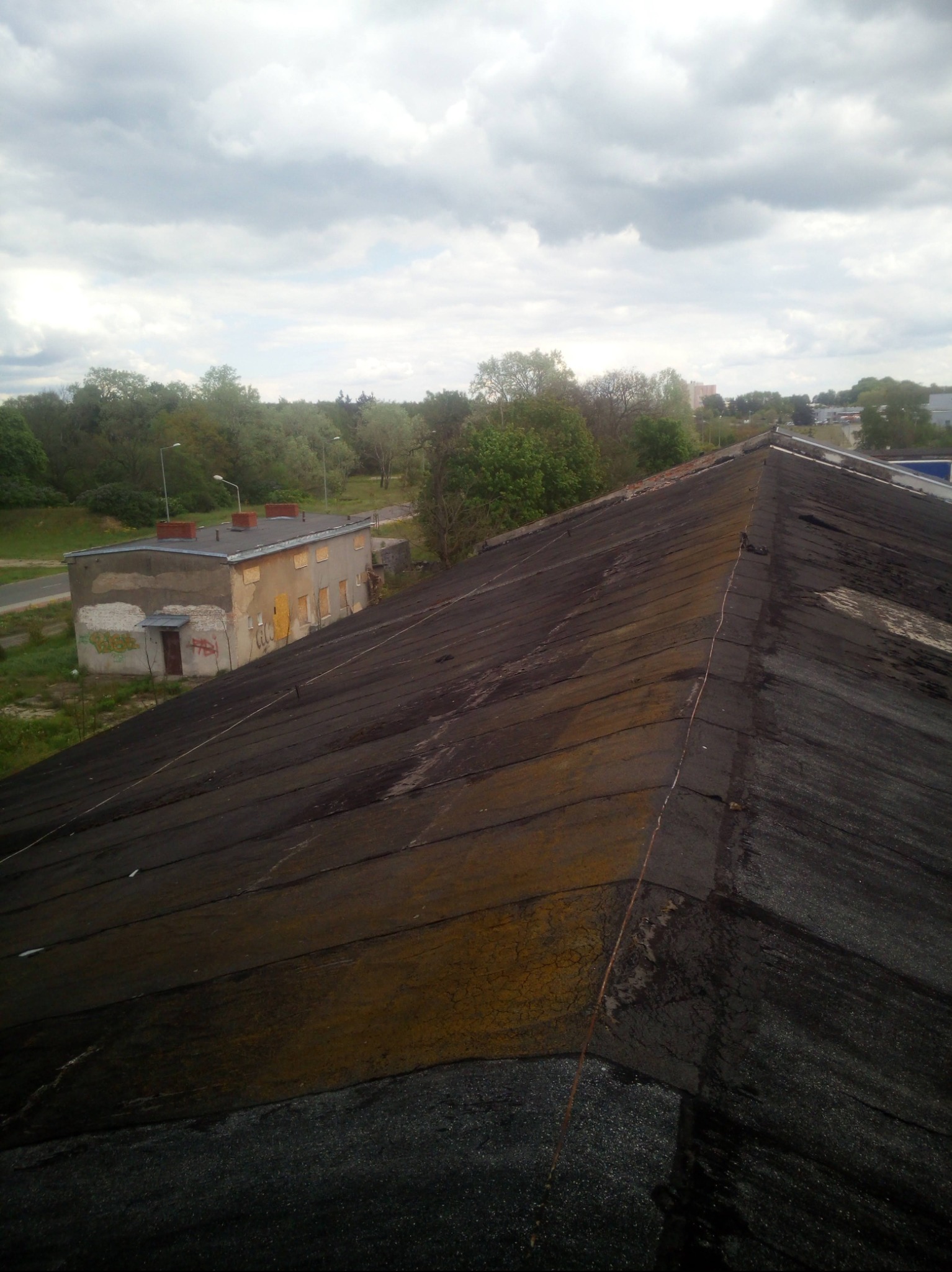 Widok z góry na pokryty smołą dach budynku z widoczną zielenią w tle, wykonany w pochmurny dzień. Dach jest płaski i pokryty łatami smoły, które są częściowo pokryte mchem.
