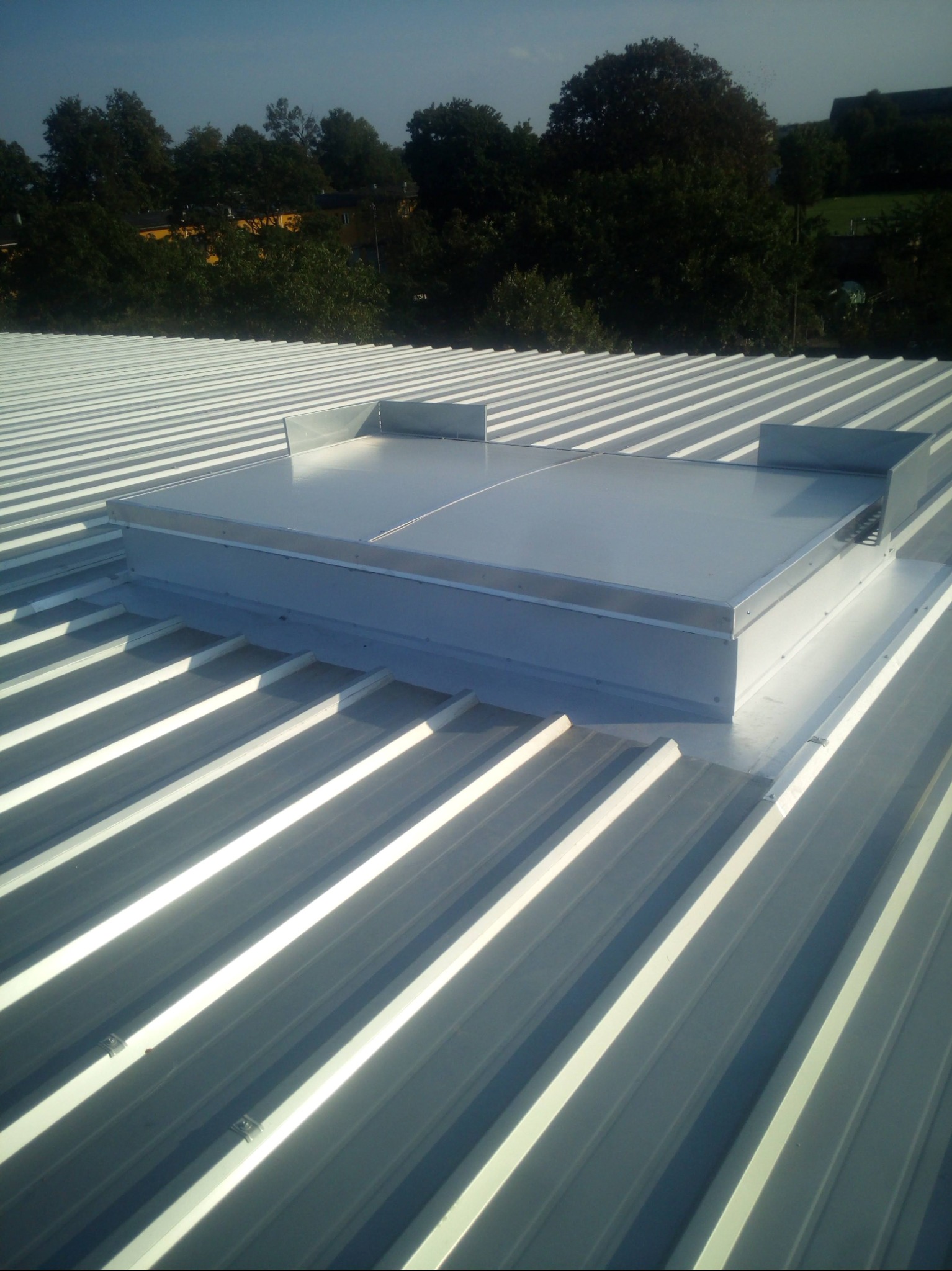 Szary, blaszany dach z centralnie umieszczonym świetlikiem dachowym, otoczonym niskimi ściankami. W tle widoczne drzewa i fragment nieba.