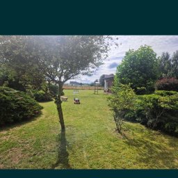 Patryk Kolasiński - Zadbany ogród z równo przystrzyżonym trawnikiem, drzewami i krzewami. W tle widoczny dom jednorodzinny i niebo z chmurami. Na trawniku stoi kosiarka.