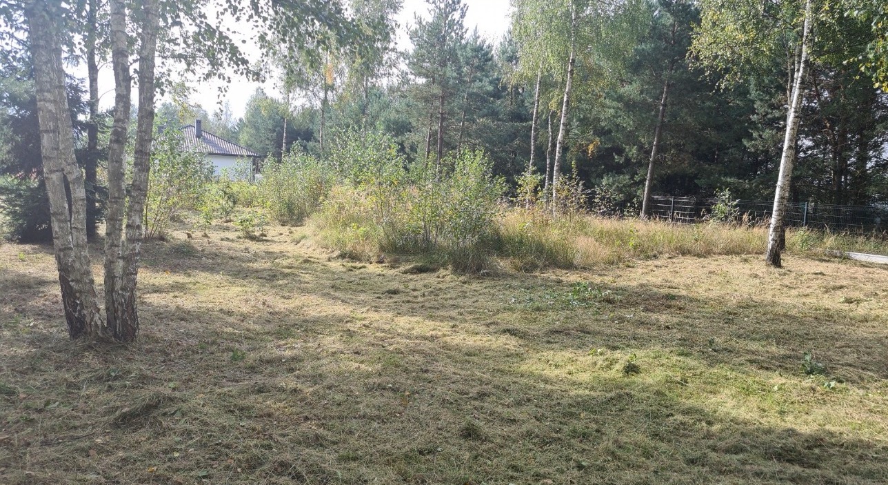 Trawa po koszeniu na działce z drzewami, z widocznym domem w tle. Świeżo skoszona trawa tworzy równą powierzchnię. Widok na zieleń i drzewa w słoneczny dzień.