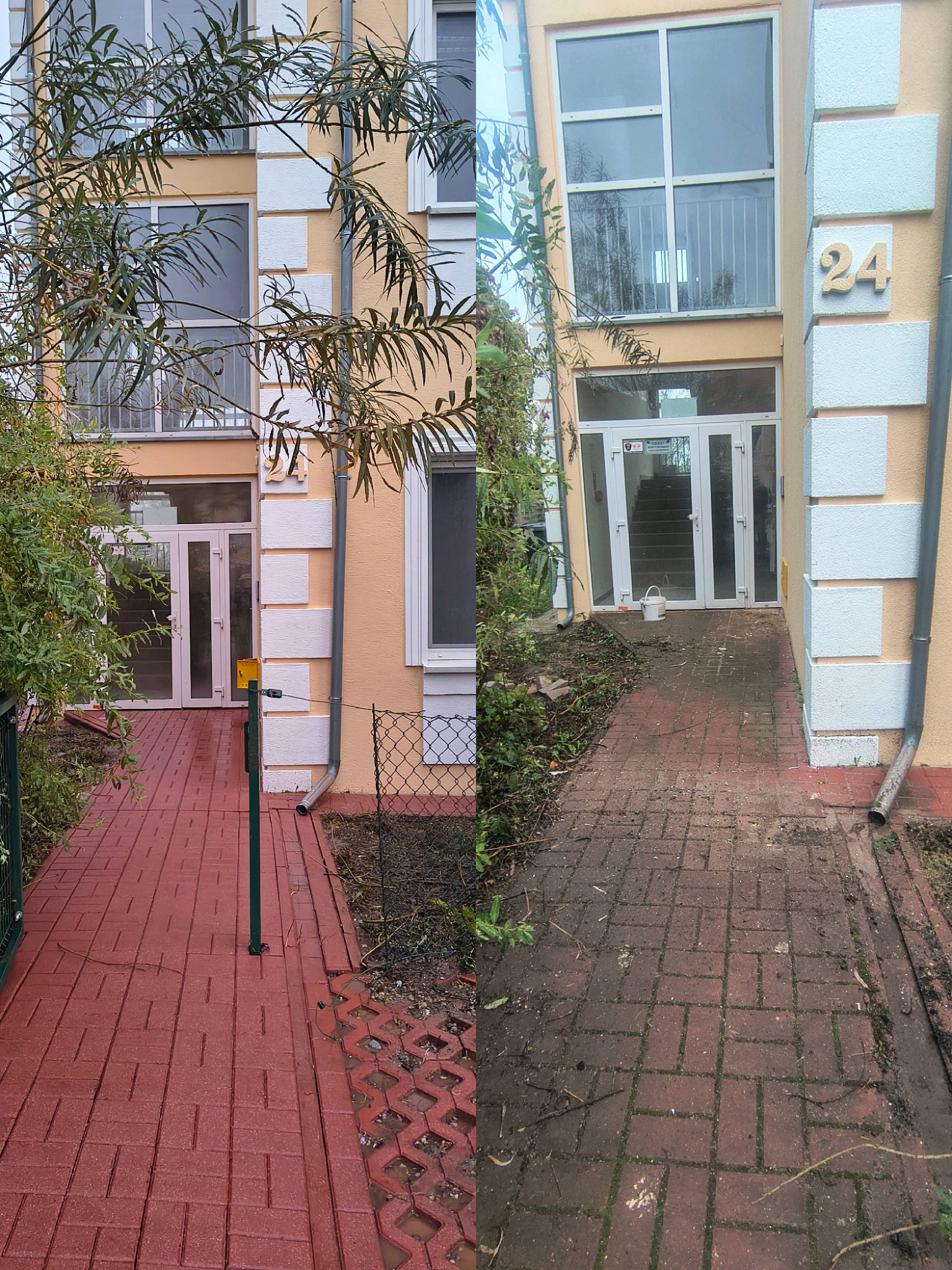 Kostka brukowa przed i po czyszczeniu przy wejściu do budynku z numerem 24. Po lewej stronie kostka czysta, czerwona, po prawej brudna, pokryta ziemią i mchem.