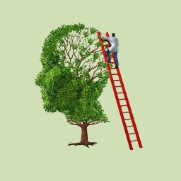 Michał Expert Sp.Z.o.o - Nowoczesne Ogrody Bielsko-Biała