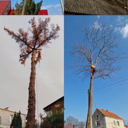 Green-Serwis Adam Jerczyński - Fantastyczne Sadzenie Drzew Kluczbork