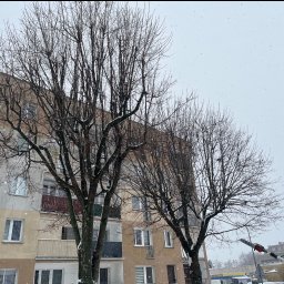 Green-Serwis Adam Jerczyński - Sadzenie drzew i krzewów Kluczbork