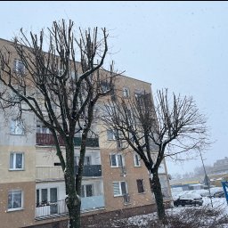 Wycinka drzew Wołczyn 2