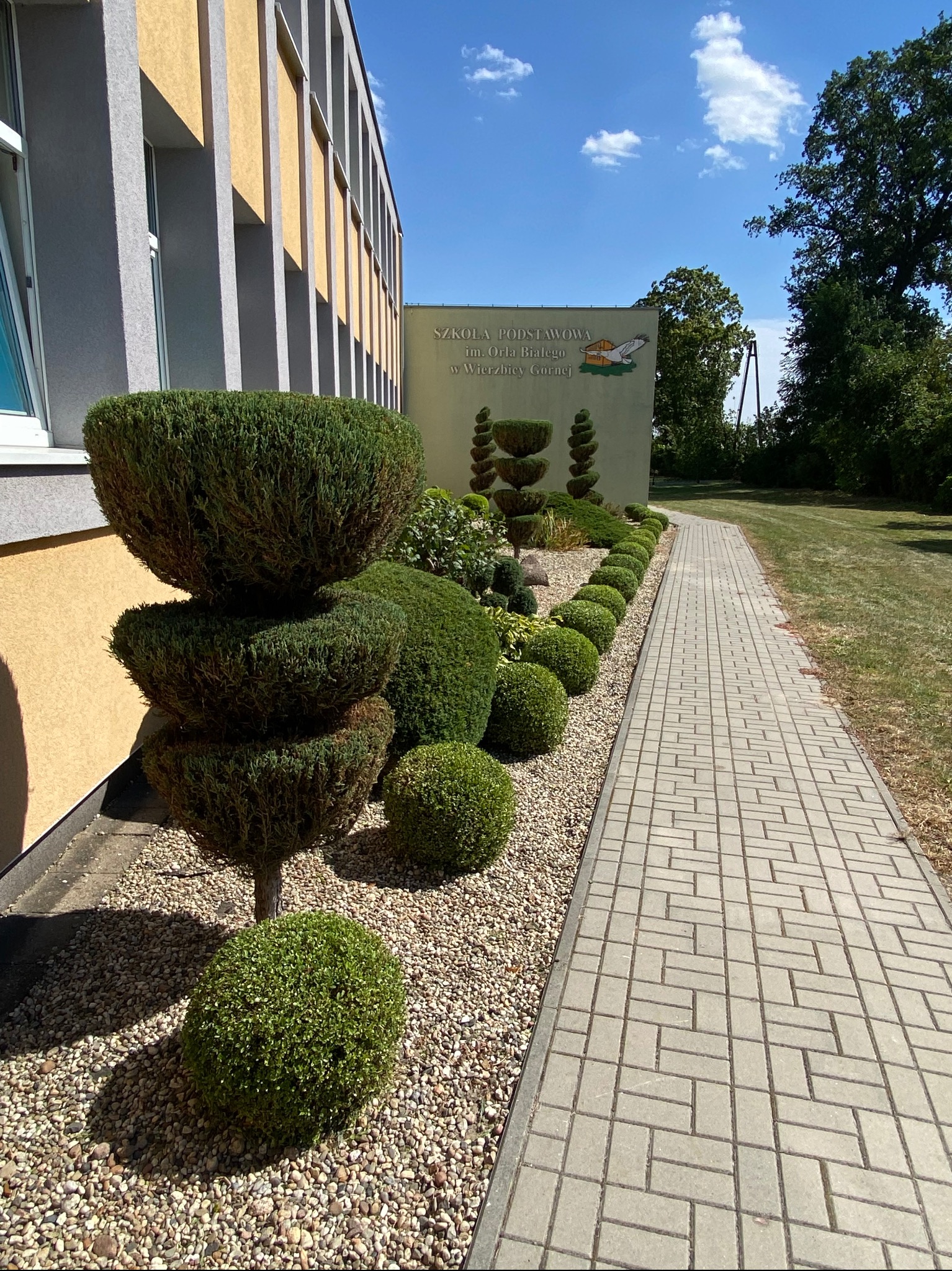 Ogród przy szkole z formowanymi krzewami i równo przyciętym trawnikiem, widok z perspektywy chodnika. Dekoracyjne nasadzenia wzdłuż budynku.