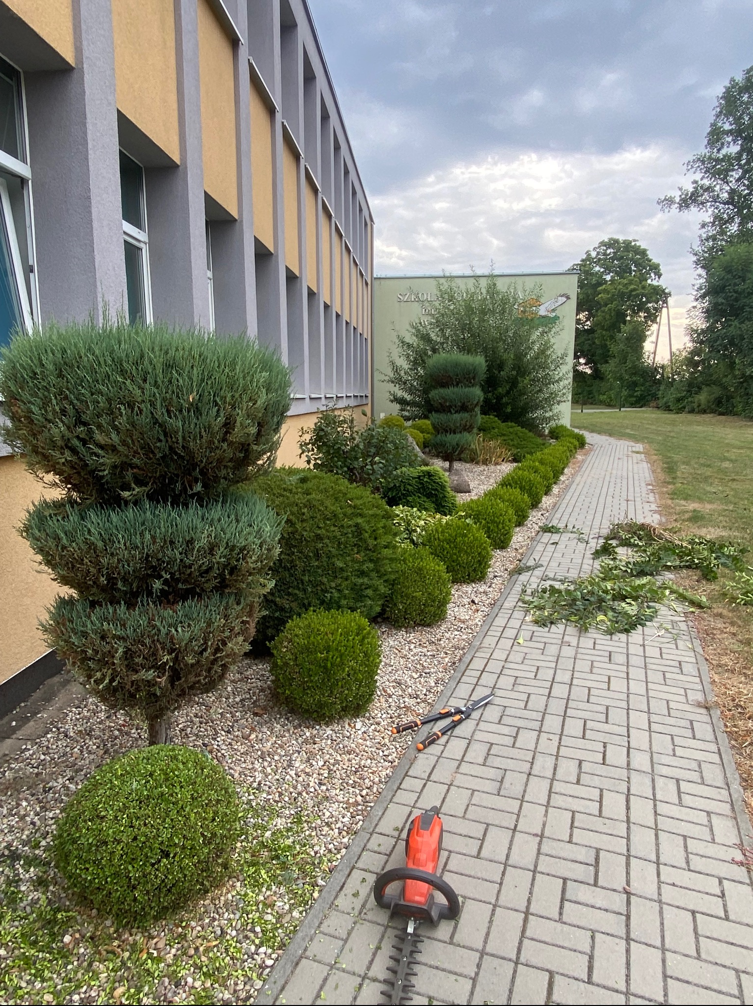 Równy rząd przyciętych krzewów i drzewek wzdłuż chodnika przy budynku. Na chodniku leżą nożyce i elektryczne nożyce do żywopłotu, a obok widać drobne gałązki.